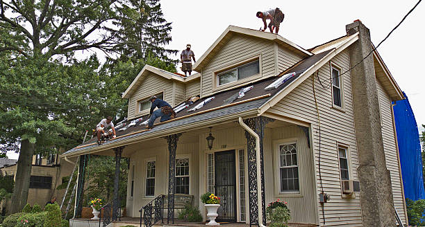 Best Roof Leak Repair  in Tell City, IN